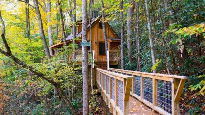 The Cedar in Treehouse Grove at Norton Creek - image 27