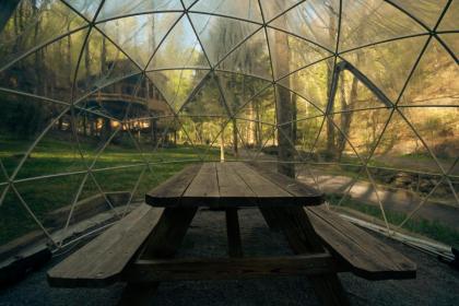 The Elm in Treehouse Grove at Norton Creek - image 26