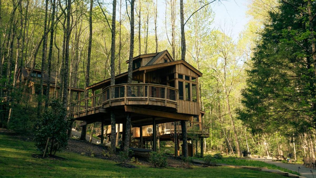 The Magnolia in Treehouse Grove at Norton Creek - main image