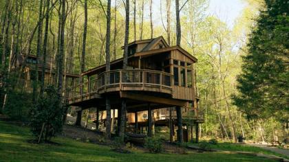 The Magnolia in Treehouse Grove at Norton Creek - image 20