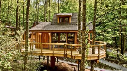 The Magnolia in Treehouse Grove at Norton Creek - image 21