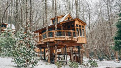 The Magnolia in Treehouse Grove at Norton Creek - image 23