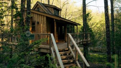 The Magnolia in Treehouse Grove at Norton Creek - image 3