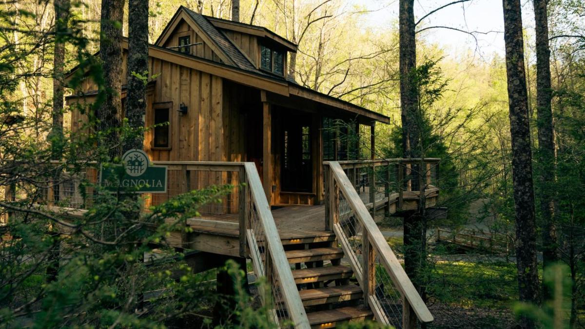 The Magnolia in Treehouse Grove at Norton Creek - image 3
