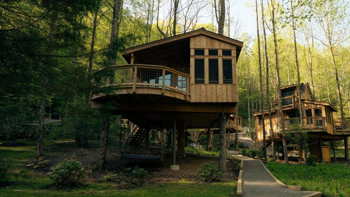 The Magnolia in Treehouse Grove at Norton Creek - image 5