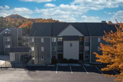 Summit Up - image 26