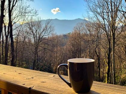 Grand Ole Chalet - Mt ViewsFireplaceFirepitArcade - image 25