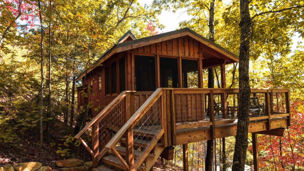 The Cherry in Treehouse Grove at Norton Creek - main image