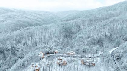 The Moosewood in Treehouse Grove at Norton Creek - image 21