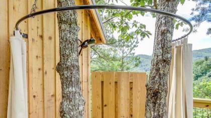 The Cottonwood in Treehouse Grove at Norton Creek - image 4