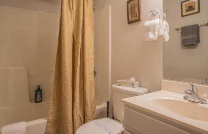 Sasquatch Lodge A sleeps 12 - image 25