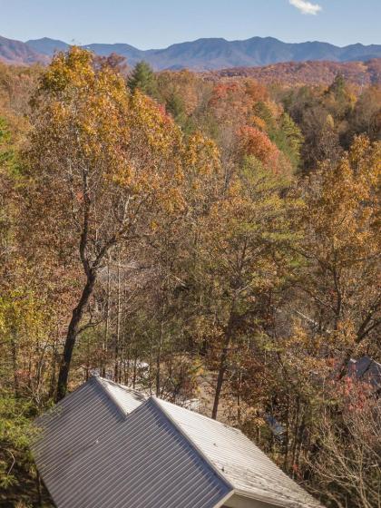 Sasquatch Lodge A sleeps 12 - image 28