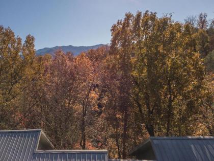 Sasquatch Lodge A sleeps 12 - image 29