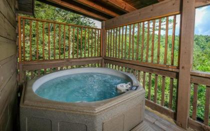 Gatlinburg Secret Splash - image 25