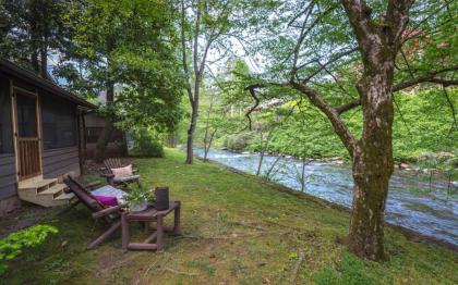 On the River - image 21
