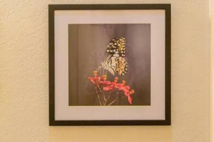 LODGE G SASQUATCH LODGES Sleeps 13 - image 29