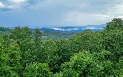 Among The Clouds 2240 - image 27