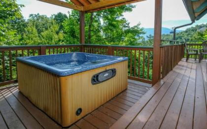 Cozy Bear 856 - image 21