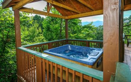Cozy Bear 856 - image 22