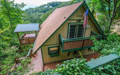 Cozy Bear 856 - image 23
