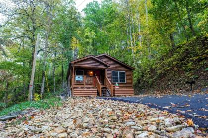 Bear Trail 625 - image 22