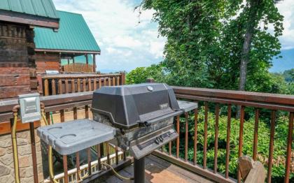 Squirrels Nest - image 29