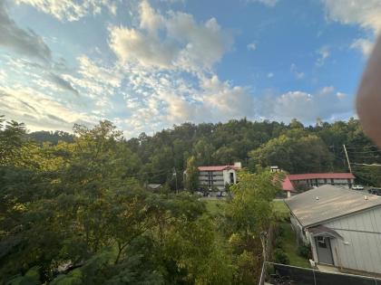 Timber Ridge Lodge - Walking Distance from Downtown Gatlinburg - image 23