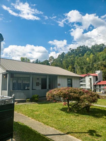 Timber Ridge Lodge - Walking Distance from Downtown Gatlinburg - image 30