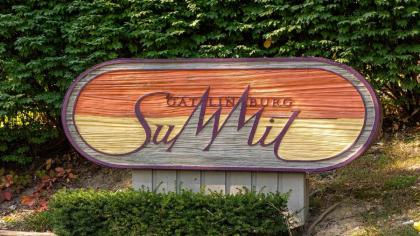 Smokies Summit View - image 21