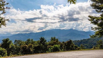 Smokies Summit View - image 25