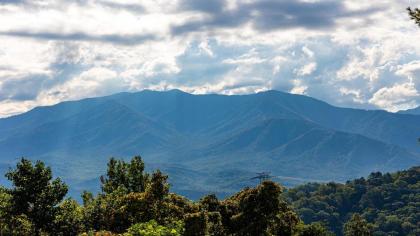 Smokies Summit View - image 26