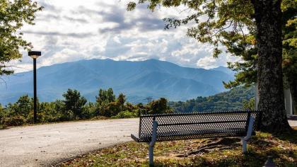 Smokies Summit View - image 28