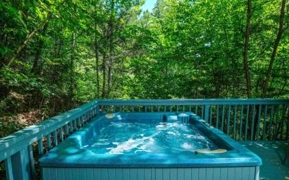 Ski Mountain Hideaway 1154 - image 29
