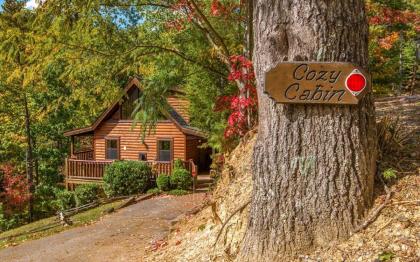 Cozy Cabin - image 13