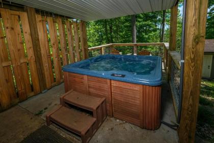 Bear View Chalet - image 22