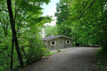 Bear View Chalet - image 29