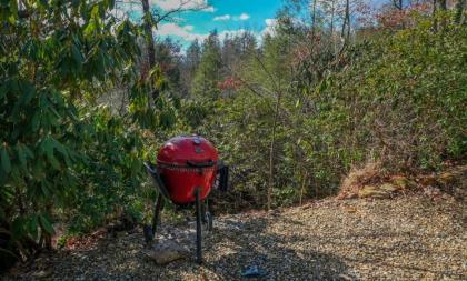 Black Bear Getaway - image 15