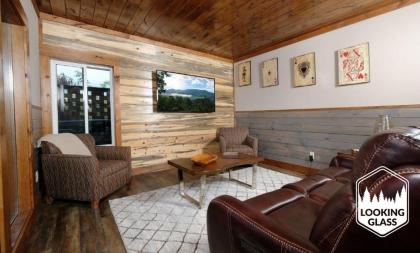 Looking Glass Elevation Station - image 22