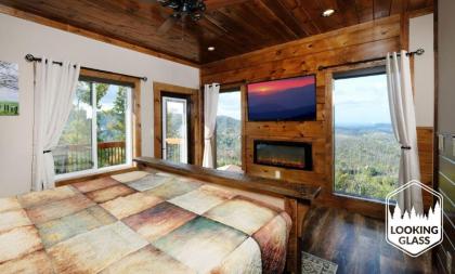 Looking Glass Elevation Station - image 24