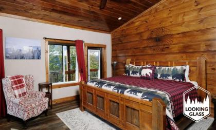 Looking Glass Elevation Station - image 27