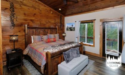 Looking Glass Elevation Station - image 29