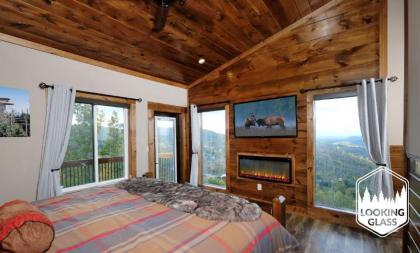 Looking Glass Elevation Station - image 30