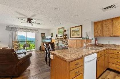 Deer Ridge Mountain Resort A301 - image 21
