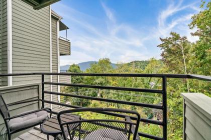 Mountain Top Adventure Condo - image 26