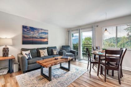 Mountain Top Adventure Condo - image 30