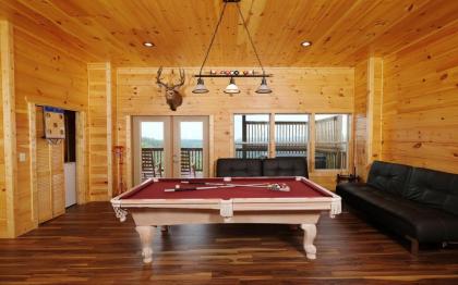 Eagles View 2.0 - image 23