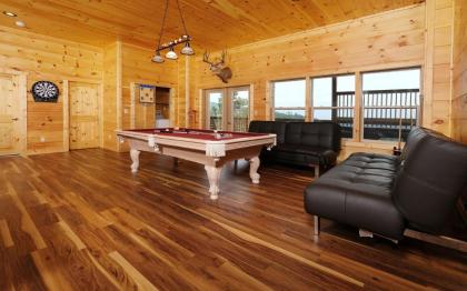 Eagles View 2.0 - image 24