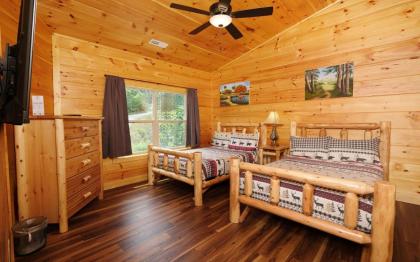 Eagles View 2.0 - image 27