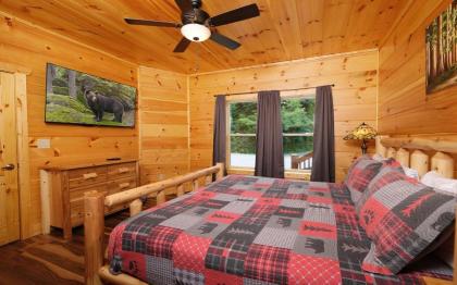 Eagles View 2.0 - image 30