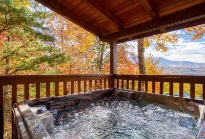Enchanted View Lodge cabin - image 30